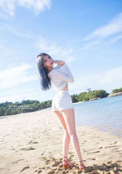 森林里的熊冬眠中_HD全集免费观看